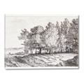 Picture of Windy Trees _GroupedProduct_Rectangle_Landscape_Canvas_