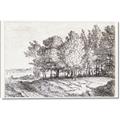 Picture of Windy Trees _GroupedProduct_Rectangle_Landscape_Canvas_