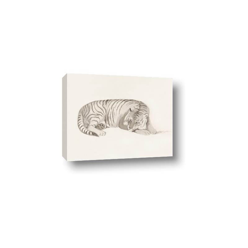 Picture of Tiger Time _GroupedProduct_Rectangle_Landscape_Canvas_