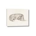 Picture of Tiger Time _GroupedProduct_Rectangle_Landscape_Canvas_