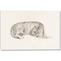 Picture of Tiger Time _GroupedProduct_Rectangle_Landscape_Canvas_