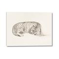 Picture of Tiger Time _GroupedProduct_Rectangle_Landscape_Canvas_