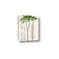 Picture of Palm Botanical _GroupedProduct_Rectangle_Portrait_Canvas_