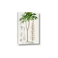 Picture of Palm Botanical _GroupedProduct_Rectangle_Portrait_Canvas_