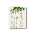 Picture of Palm Botanical _GroupedProduct_Rectangle_Portrait_Canvas_