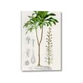 Picture of Palm Botanical _GroupedProduct_Rectangle_Portrait_Canvas_