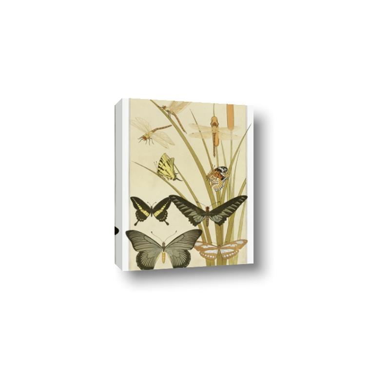 Picture of kaleidoscope _GroupedProduct_Rectangle_Portrait_Canvas_