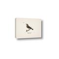 Picture of Wood Lark Bird _GroupedProduct_Rectangle_Landscape_Canvas_
