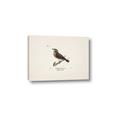 Picture of Wood Lark Bird _GroupedProduct_Rectangle_Landscape_Canvas_