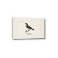 Picture of Wood Lark Bird _GroupedProduct_Rectangle_Landscape_Canvas_