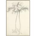 Picture of Tall Tree I _GroupedProduct_Rectangle_Portrait_Canvas_Framed_