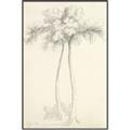Picture of Tall Tree I _GroupedProduct_Rectangle_Portrait_Canvas_Framed_