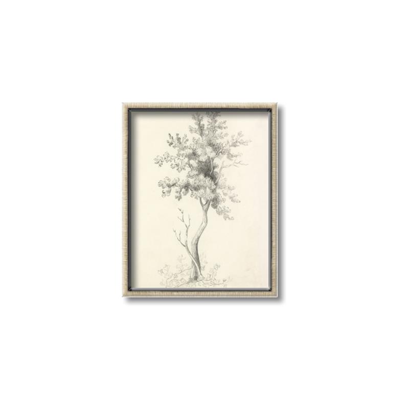 Picture of Tall Tree II _GroupedProduct_Rectangle_Portrait_Canvas_Framed_