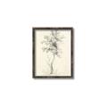 Picture of Tall Tree II _GroupedProduct_Rectangle_Portrait_Canvas_Framed_