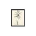 Picture of Tall Tree II _GroupedProduct_Rectangle_Portrait_Canvas_Framed_