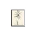 Picture of Tall Tree II _GroupedProduct_Rectangle_Portrait_Canvas_Framed_