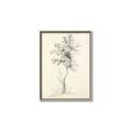 Picture of Tall Tree II _GroupedProduct_Rectangle_Portrait_Canvas_Framed_