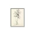 Picture of Tall Tree II _GroupedProduct_Rectangle_Portrait_Canvas_Framed_