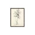 Picture of Tall Tree II _GroupedProduct_Rectangle_Portrait_Canvas_Framed_