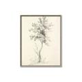 Picture of Tall Tree II _GroupedProduct_Rectangle_Portrait_Canvas_Framed_