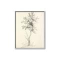 Picture of Tall Tree II _GroupedProduct_Rectangle_Portrait_Canvas_Framed_
