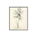 Picture of Tall Tree II _GroupedProduct_Rectangle_Portrait_Canvas_Framed_