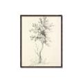 Picture of Tall Tree II _GroupedProduct_Rectangle_Portrait_Canvas_Framed_
