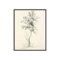 Picture of Tall Tree II _GroupedProduct_Rectangle_Portrait_Canvas_Framed_