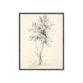 Picture of Tall Tree II _GroupedProduct_Rectangle_Portrait_Canvas_Framed_