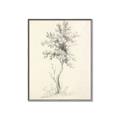 Picture of Tall Tree II _GroupedProduct_Rectangle_Portrait_Canvas_Framed_