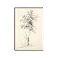 Picture of Tall Tree II _GroupedProduct_Rectangle_Portrait_Canvas_Framed_