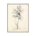 Picture of Tall Tree II _GroupedProduct_Rectangle_Portrait_Canvas_Framed_