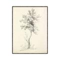 Picture of Tall Tree II _GroupedProduct_Rectangle_Portrait_Canvas_Framed_