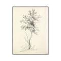 Picture of Tall Tree II _GroupedProduct_Rectangle_Portrait_Canvas_Framed_