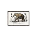 Picture of Indian Elephant _GroupedProduct_Rectangle_Landscape_Canvas_Framed_