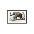Picture of Indian Elephant _GroupedProduct_Rectangle_Landscape_Canvas_Framed_