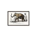 Picture of Indian Elephant _GroupedProduct_Rectangle_Landscape_Canvas_Framed_