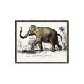 Picture of Indian Elephant _GroupedProduct_Rectangle_Landscape_Canvas_Framed_