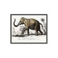 Picture of Indian Elephant _GroupedProduct_Rectangle_Landscape_Canvas_Framed_
