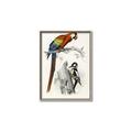 Picture of Feathered Friends _GroupedProduct_Rectangle_Portrait_Canvas_Framed_