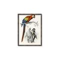 Picture of Feathered Friends _GroupedProduct_Rectangle_Portrait_Canvas_Framed_