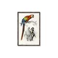 Picture of Feathered Friends _GroupedProduct_Rectangle_Portrait_Canvas_Framed_