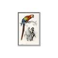 Picture of Feathered Friends _GroupedProduct_Rectangle_Portrait_Canvas_Framed_
