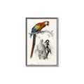 Picture of Feathered Friends _GroupedProduct_Rectangle_Portrait_Canvas_Framed_
