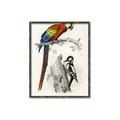 Picture of Feathered Friends _GroupedProduct_Rectangle_Portrait_Canvas_Framed_
