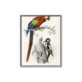 Picture of Feathered Friends _GroupedProduct_Rectangle_Portrait_Canvas_Framed_