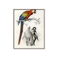 Picture of Feathered Friends _GroupedProduct_Rectangle_Portrait_Canvas_Framed_