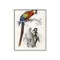 Picture of Feathered Friends _GroupedProduct_Rectangle_Portrait_Canvas_Framed_