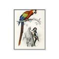 Picture of Feathered Friends _GroupedProduct_Rectangle_Portrait_Canvas_Framed_