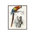 Picture of Feathered Friends _GroupedProduct_Rectangle_Portrait_Canvas_Framed_